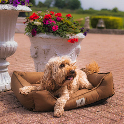 Dexter Dog Bed - Durable, Soft, and Waterproof Washable Basket for Ultimate Comfort