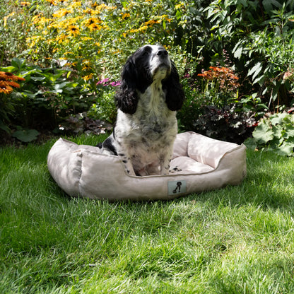 Dexter Dog Bed - Durable, Soft, and Waterproof Washable Basket for Ultimate Comfort